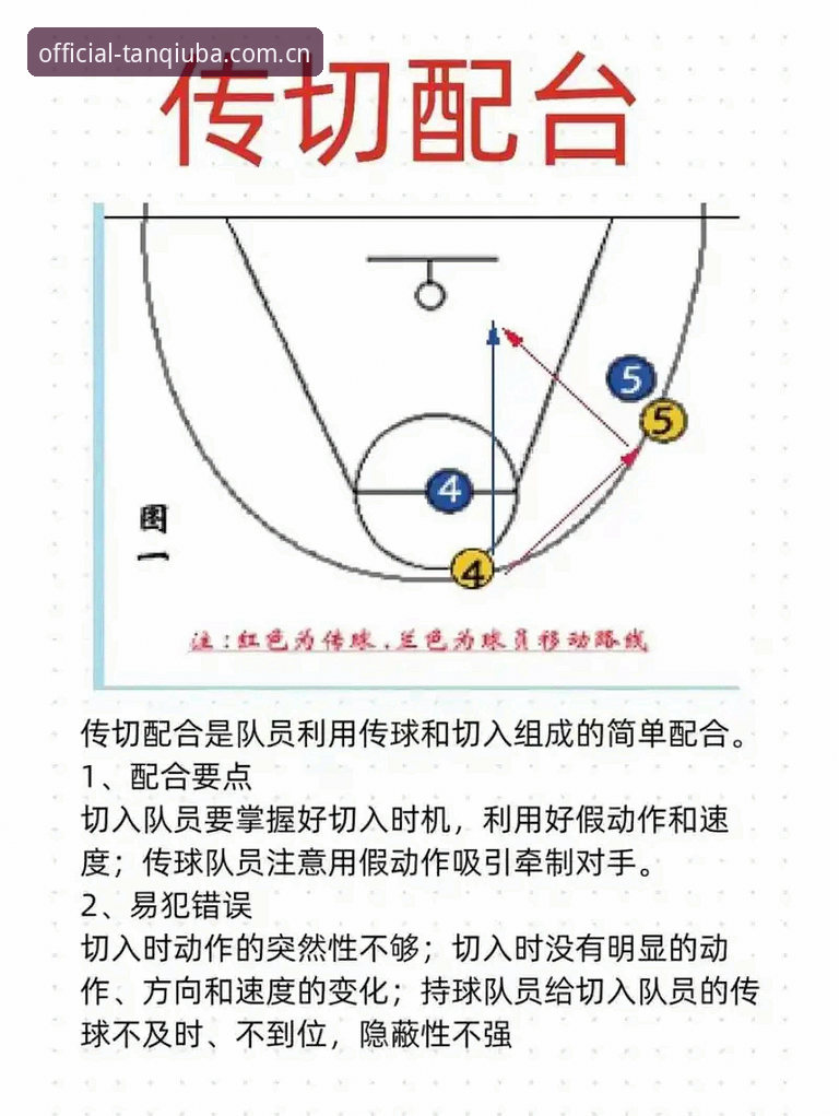 谈球吧使用教程必备：从新手到高手的完整操作指南