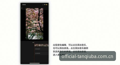 谈球吧官方网址全面解析：安全认证与用户体验深度分析